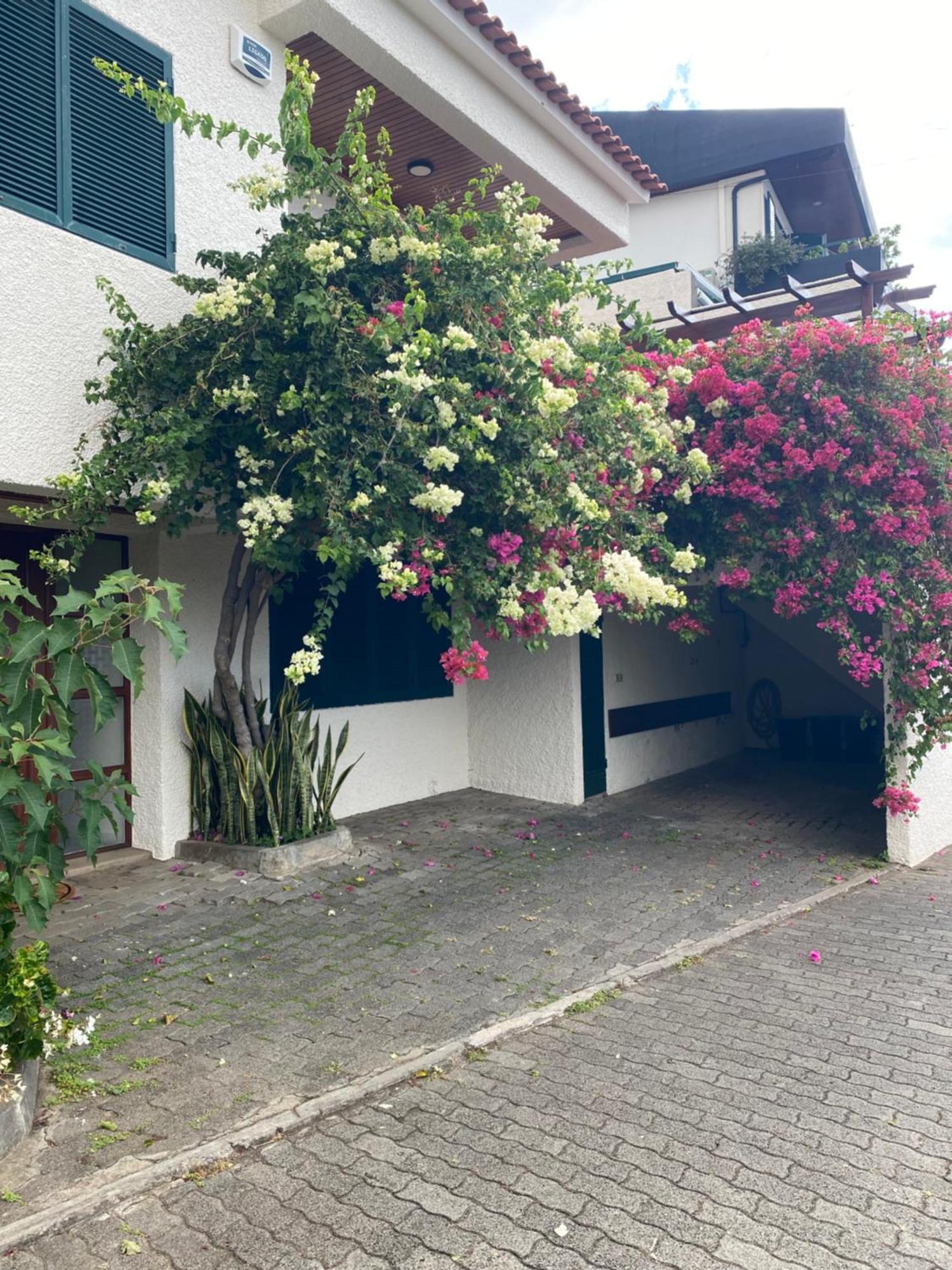 Casa Ideal Para Familias Com Vista Mar Desafogada 푼샬 외부 사진